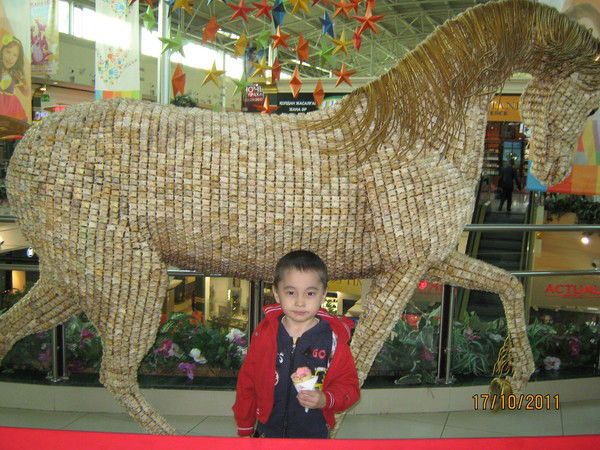 Галия Суранчиева