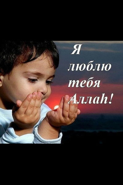 Полат Аллалыев