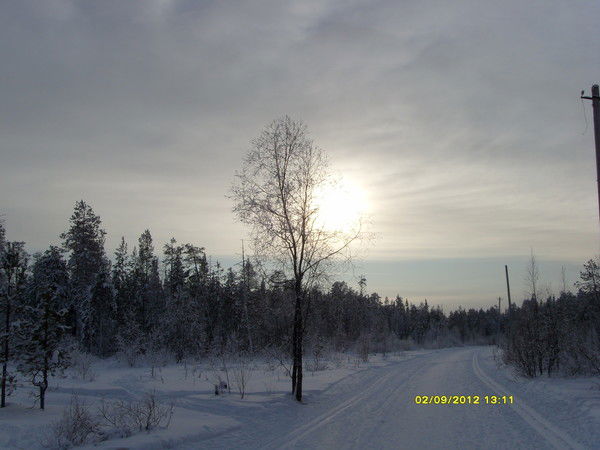 Лилия Паскевич