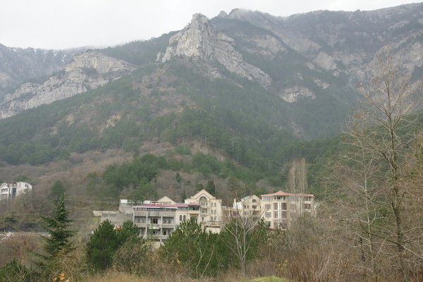 Александр Шевченко