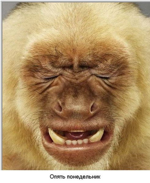 Сергей Переяславский