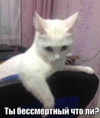 Артур Мисаревич