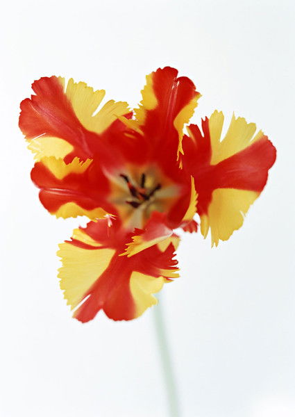 Марина Хомич