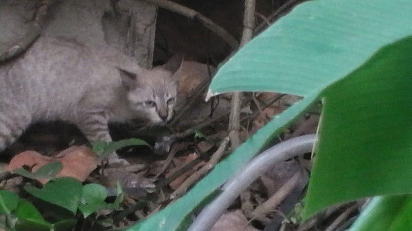 Оксана Оксана