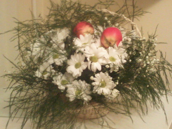 Анастасия Сергеевна