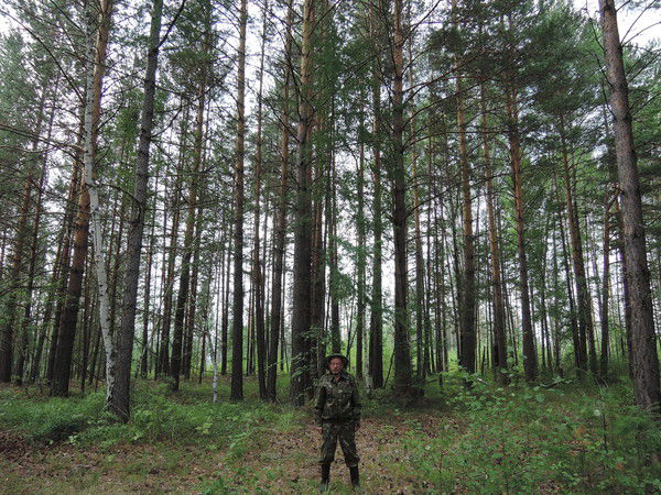 Виктор Усольцев