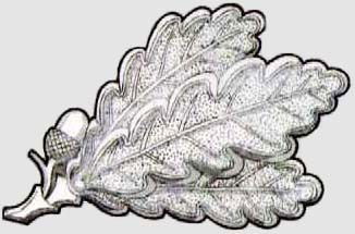 Игорь Зверев