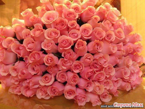 Жаныл Нуруева