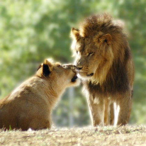 Гуля Рустамовна