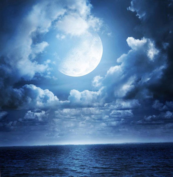 Дима Майоршин