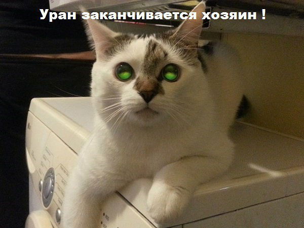 Жанна Фролова