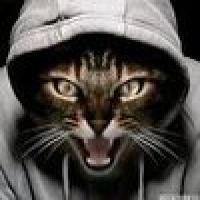 Юрий Свальнов