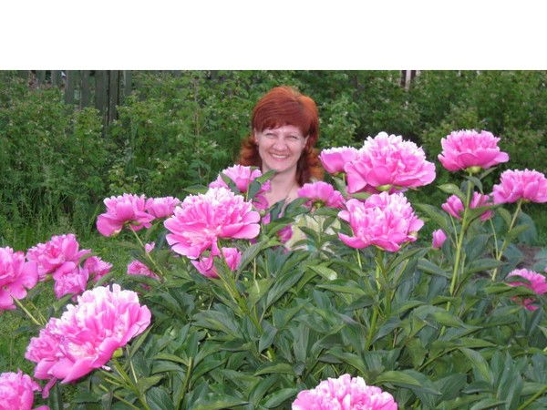 Наталья Вешуткина