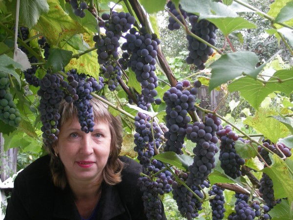 Надежда Охапкина