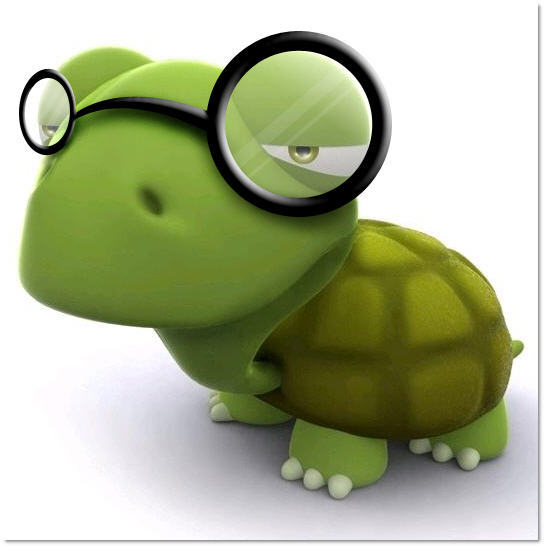 Инна Кравцова