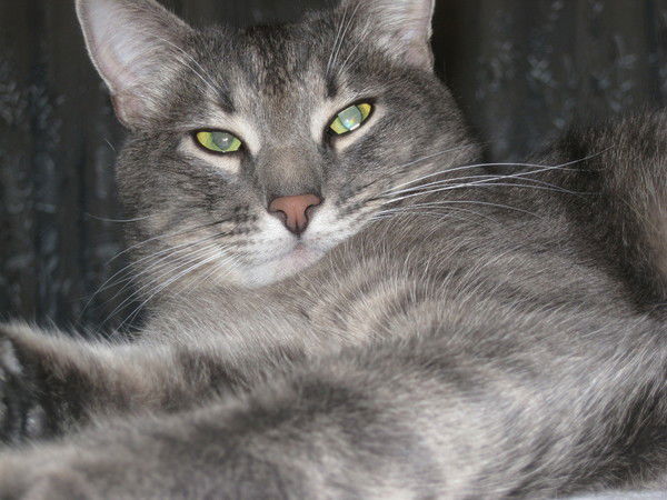 Анатолий Кубей