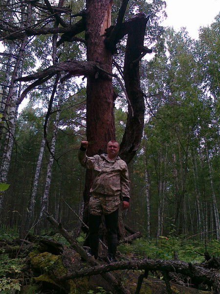 Александр Цоколов