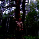 Александр Цоколов