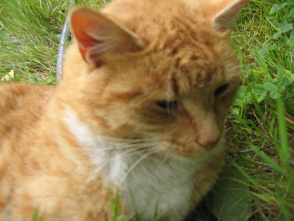 Борис Бочкин