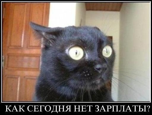 Елена Мухина