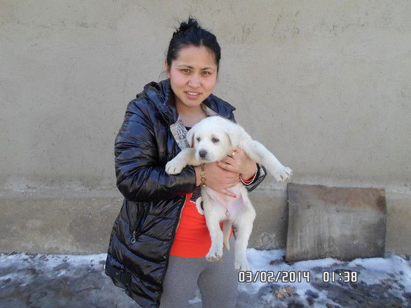 Лаура Жамалбекова