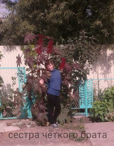 ★Сестра ★ Четкого ★ Брата ★ ~~~