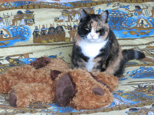 Робин Маклэлланд