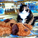 Робин Маклэлланд