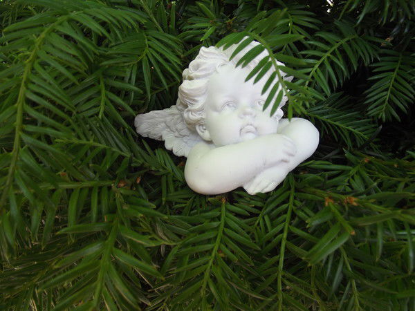 Жанна Шишкова