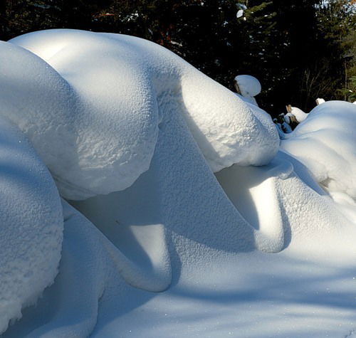 Олег Колосков