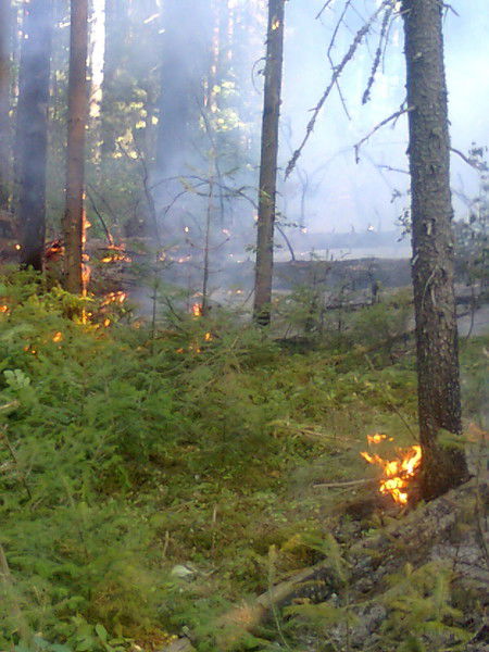 Алексей Князев