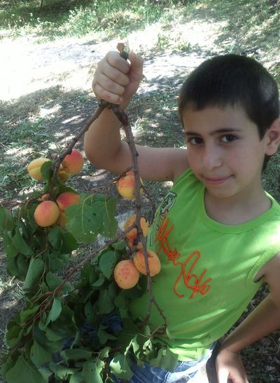 Эмиль Айрапетян