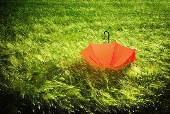 Яна Гаранич