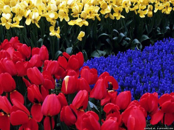 Назгуль Бекенова