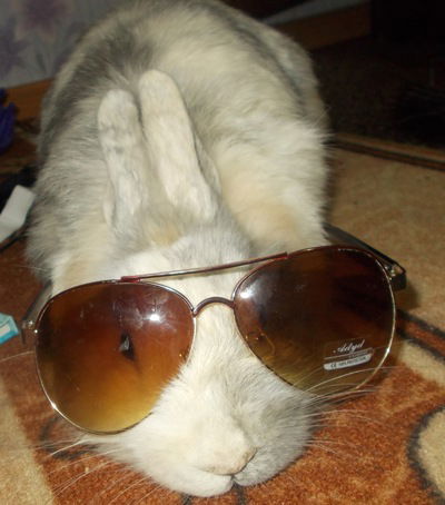 Виталя Шеховцов