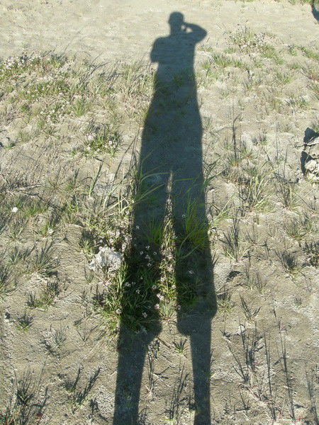 Павел Боровец