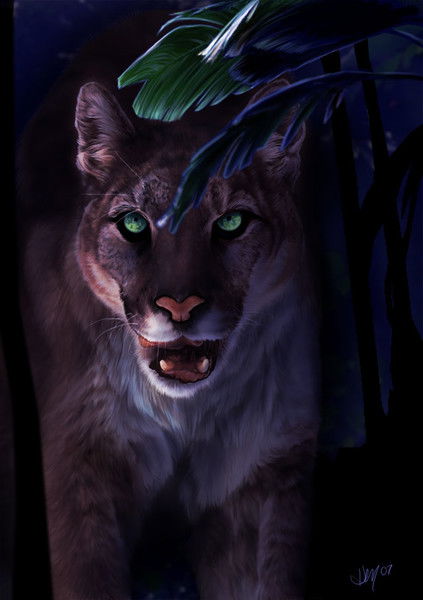 Станислава Рихтер