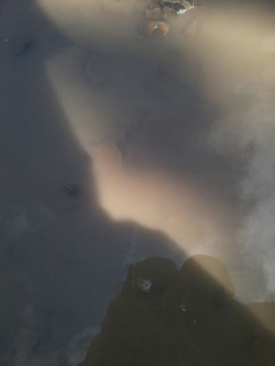 Марія Проць