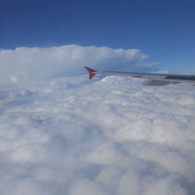 Дмитрий Мирон