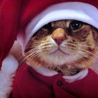 Ира Горохова