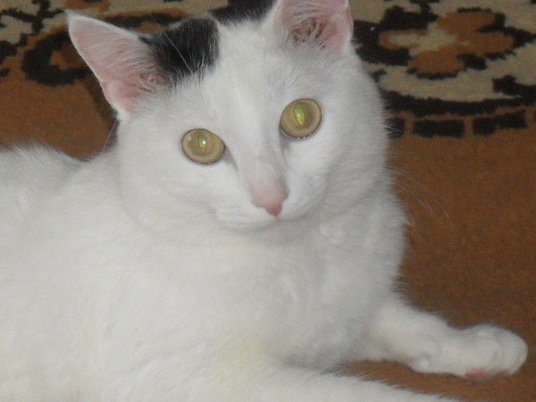 Светлана Гордеюк