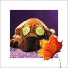 Галина Рогова