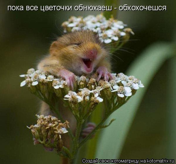 Светлана Чурина