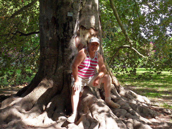 Александр Шрейнер