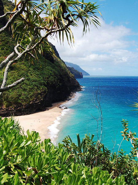 Ксения Вавилова