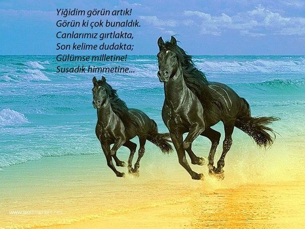 Feridun Tufekci Tufekci