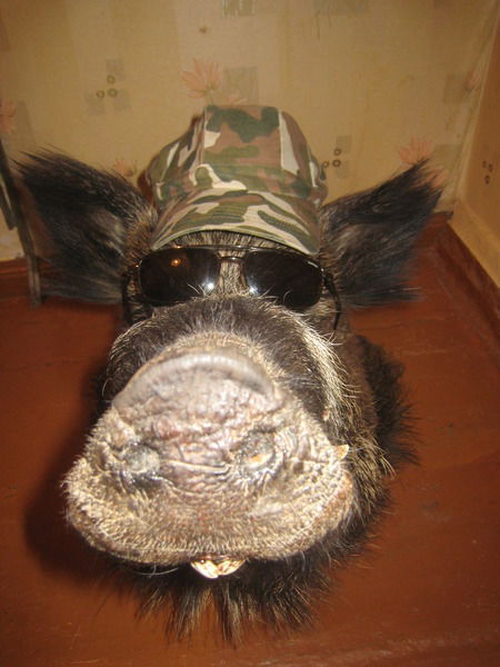 Раис Латыпов