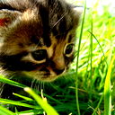 Kristina **********