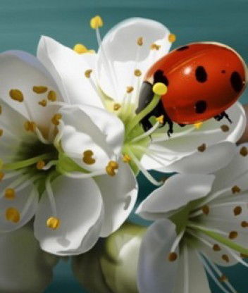 Ольга Гусева