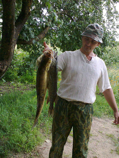 Сергей Авдеев